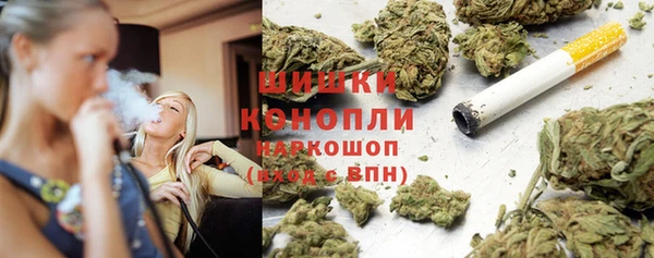 гидра Арсеньев