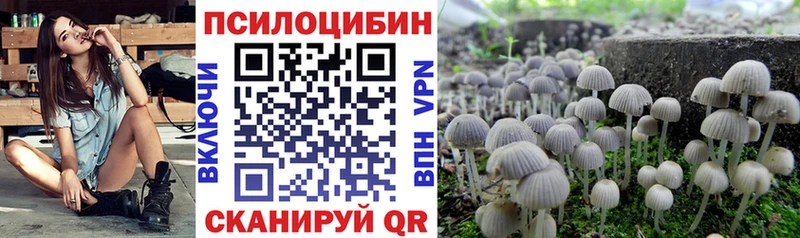 Псилоцибиновые грибы GOLDEN TEACHER Полярные Зори